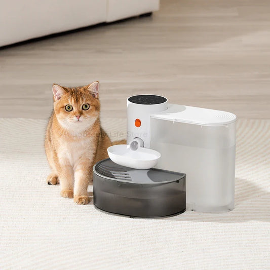 Dispenser Cat Water Fountain Moving Water - ProPawPet.com