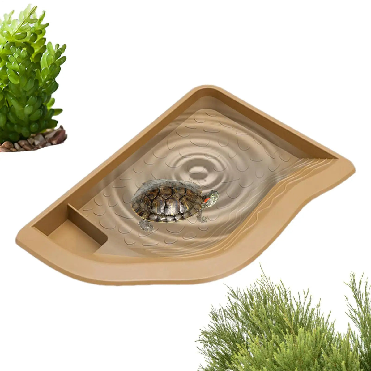 Reptile Bowl Reptile Bath Pool Tortoise - ProPawPet.com