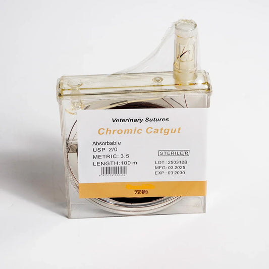 Catgut Absorbable Thread Without Needle Pet - ProPawPet.com