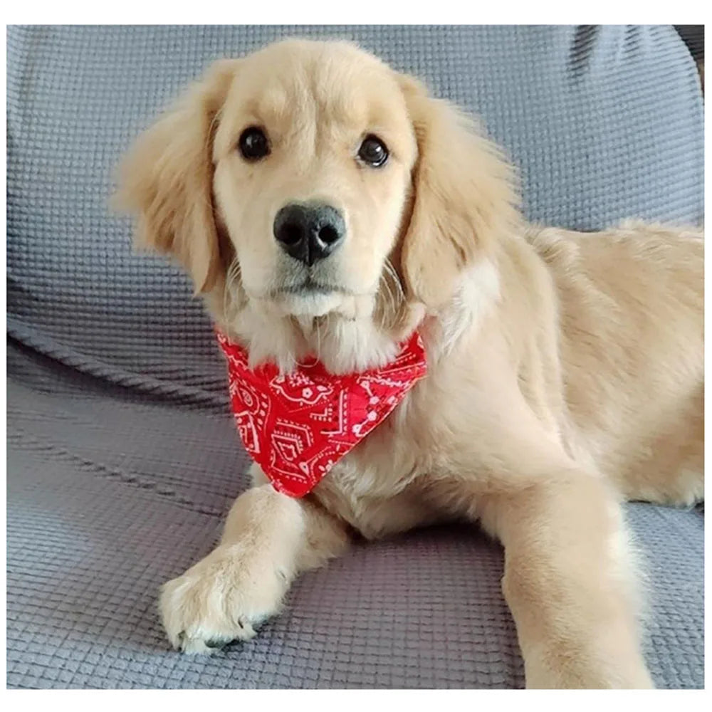 Pet Bandana Collar Scarf for Dogs Puppy & - ProPawPet.com