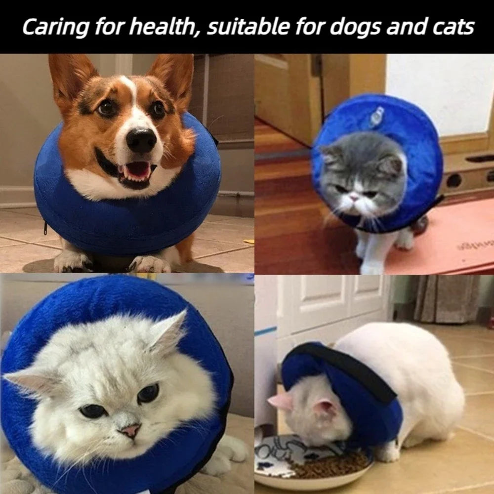 Inflatable Dog Recovery Collar Soft - ProPawPet.com