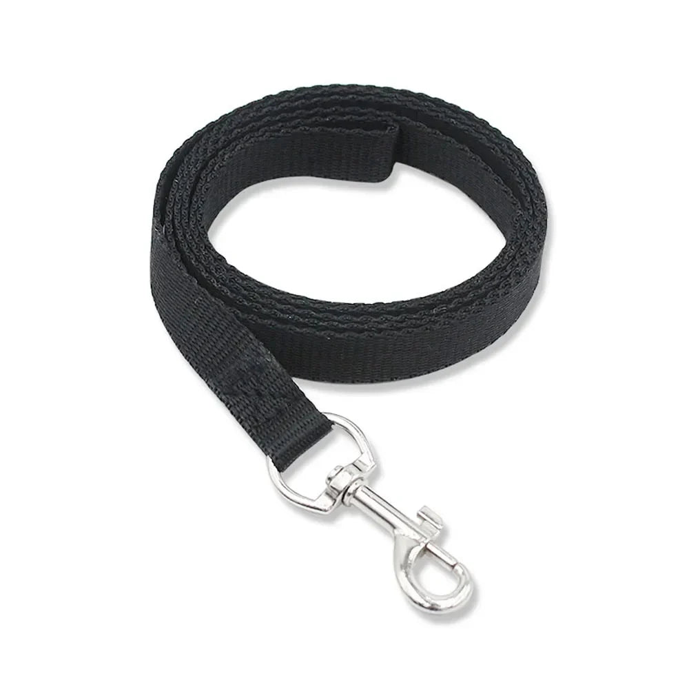 Nylon Dog Leash for Small Dogs and Cats - ProPawPet.com