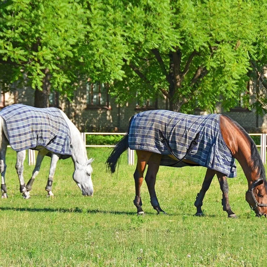 Stretchy Straps Horse Blanket Straps Horse - ProPawPet.com