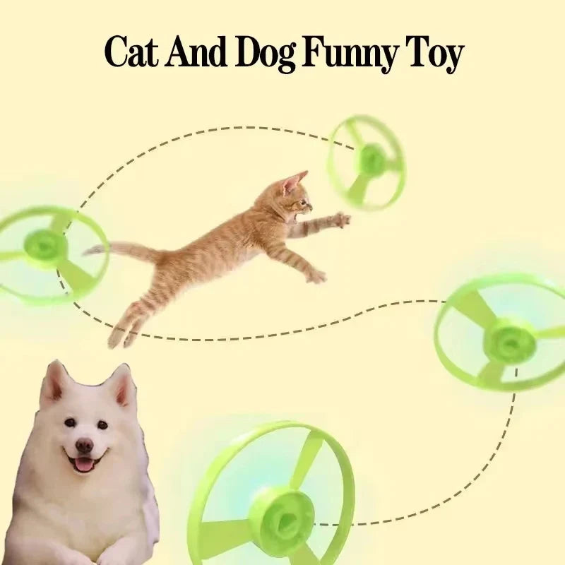 Funny Cat Toys Interactive Teaser Training - ProPawPet.com