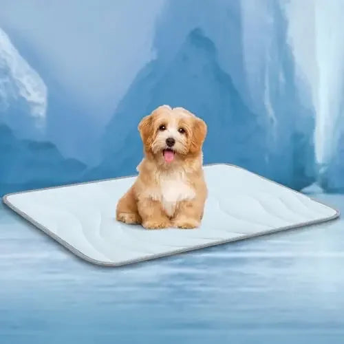 Double-Sided Gentle Wear Resistant Pet Ice - ProPawPet.com