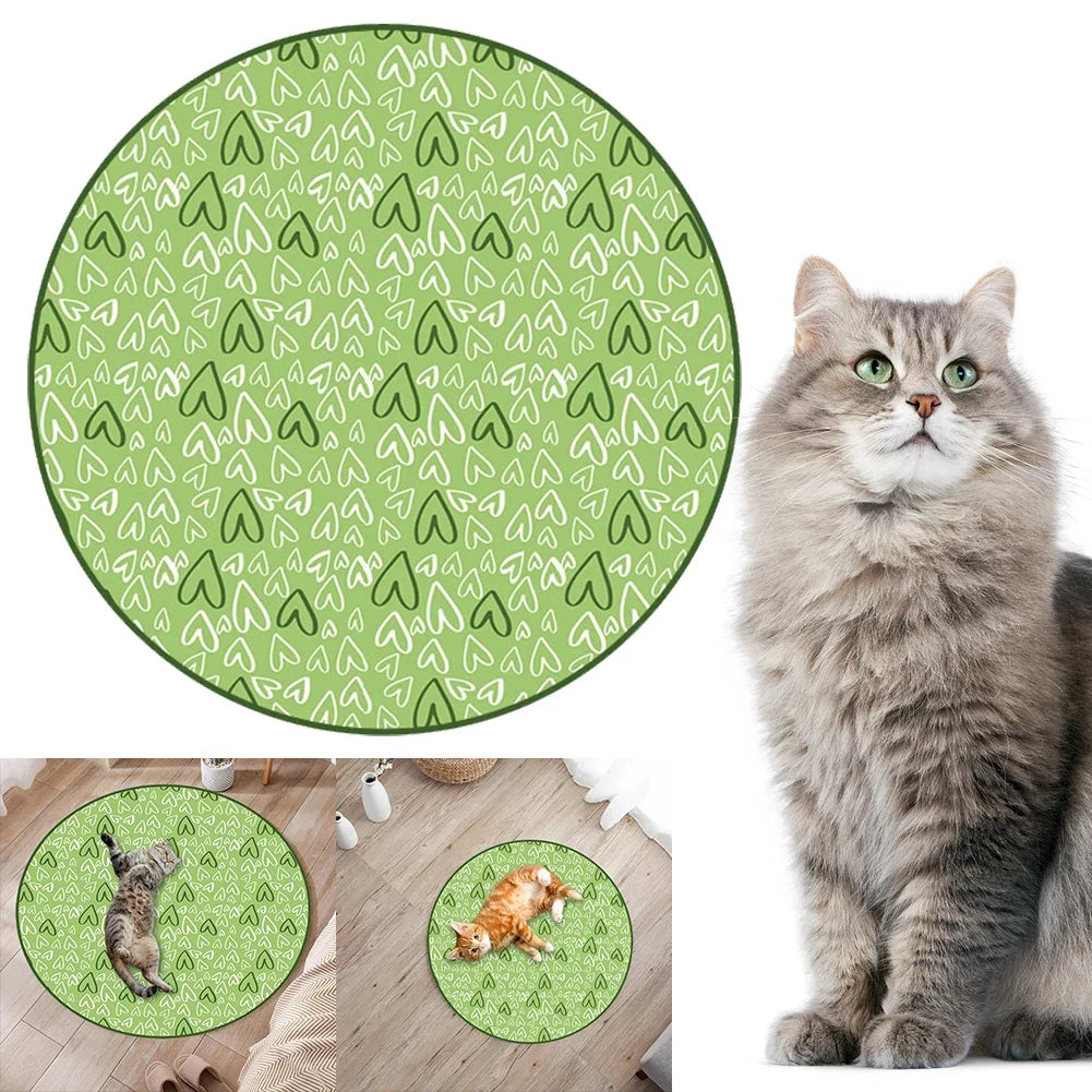 Cat Ball Hunting Exercise Mat Simulate Cat - ProPawPet.com