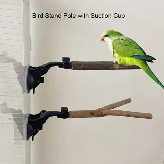 Bird Perch Window Stand Suction Cups Wood - ProPawPet.com