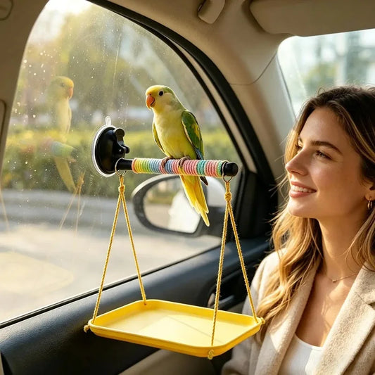 Window Perch for Birds Suction Cup - ProPawPet.com