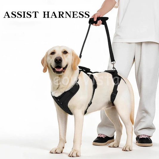 Detachable 3-Stage Large Dog Support Harness