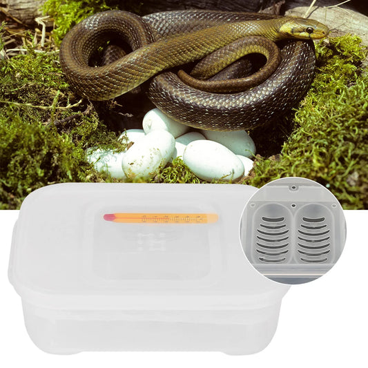 Reptiles Eggs Incubator 12 Grids Snakes - ProPawPet.com