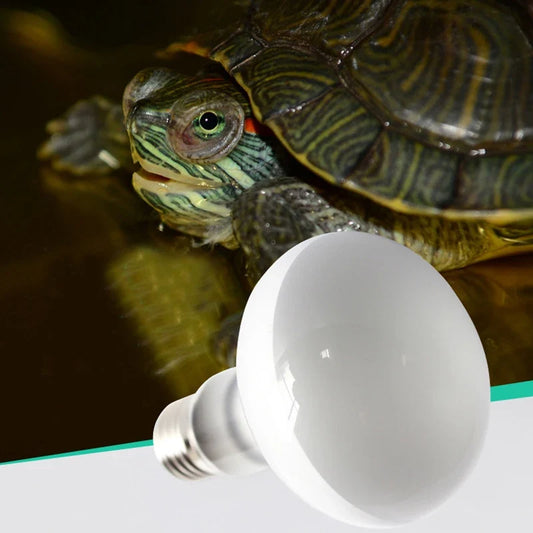 25/50/100W UVA+UVB Reptile Lamp Bulb Turtle - ProPawPet.com