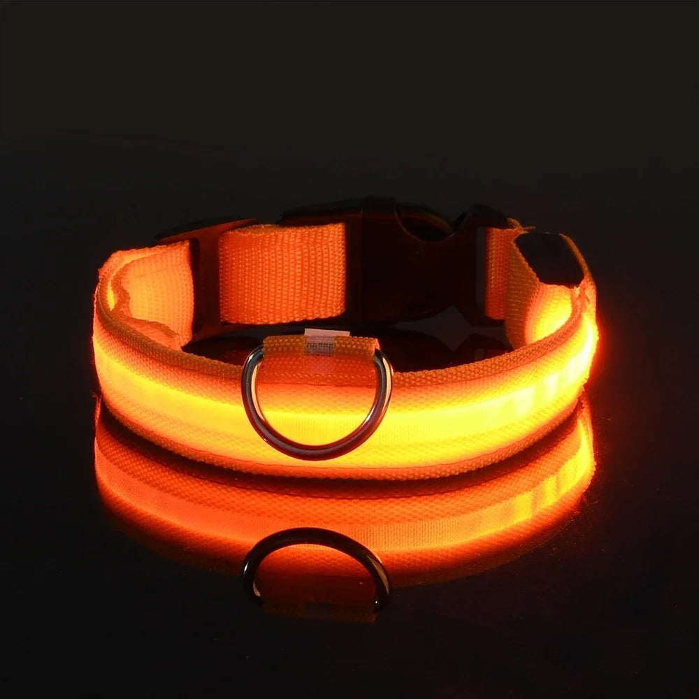 Dog Collar Nylon LED Night Safety Flashing - ProPawPet.com