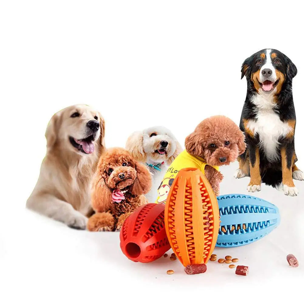 Dog Teeth Cleaning Toy, Interactive Food - ProPawPet.com