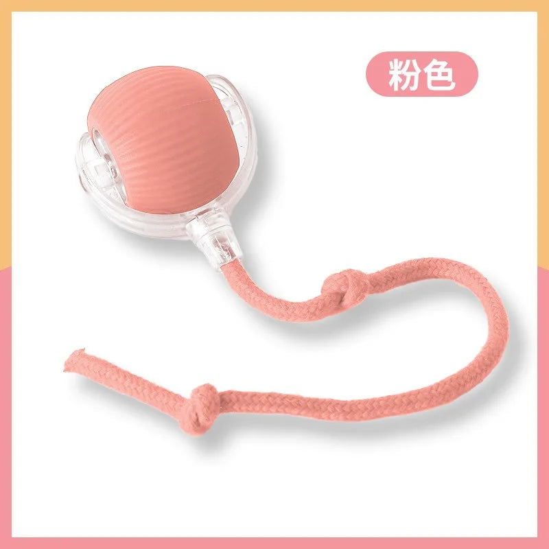 Rechargeable Dog & Cat Interactive Ball Toy
