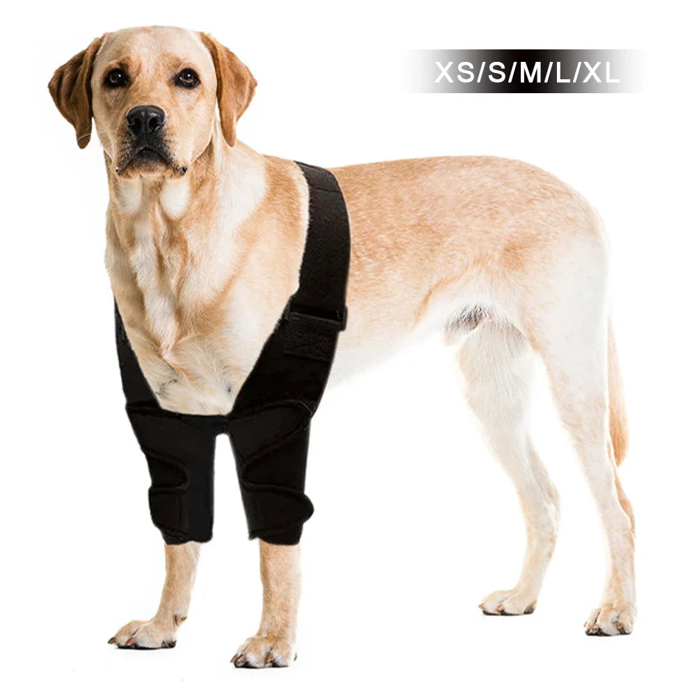 Full Coverage Dog Elbow Brace Shoulder - ProPawPet.com