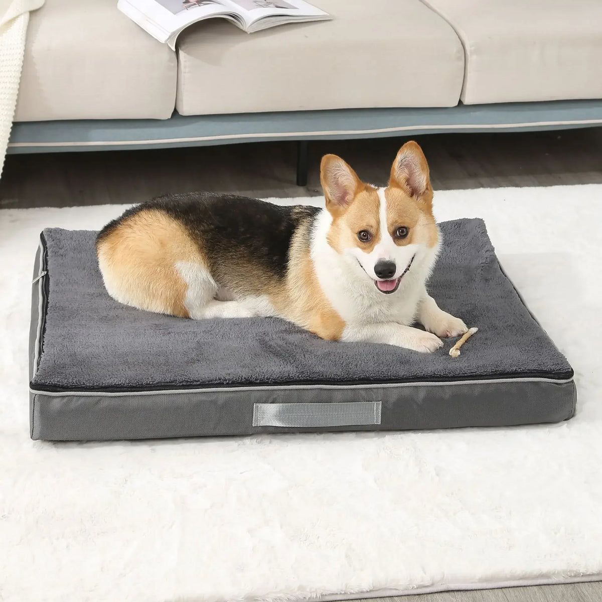 Memory Foam Pet Mat Teddy Golden Retriever - ProPawPet.com