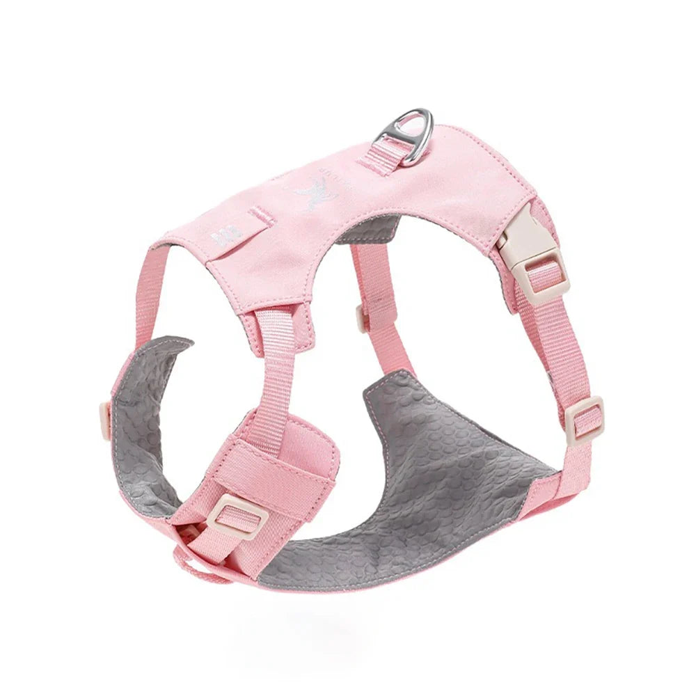 Lightweight Dog Harness & Leash Set - ProPawPet.com