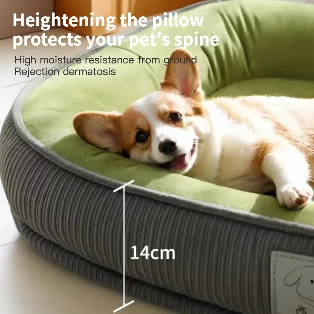 Thickened Wear Resistance Small Breed Dog - ProPawPet.com