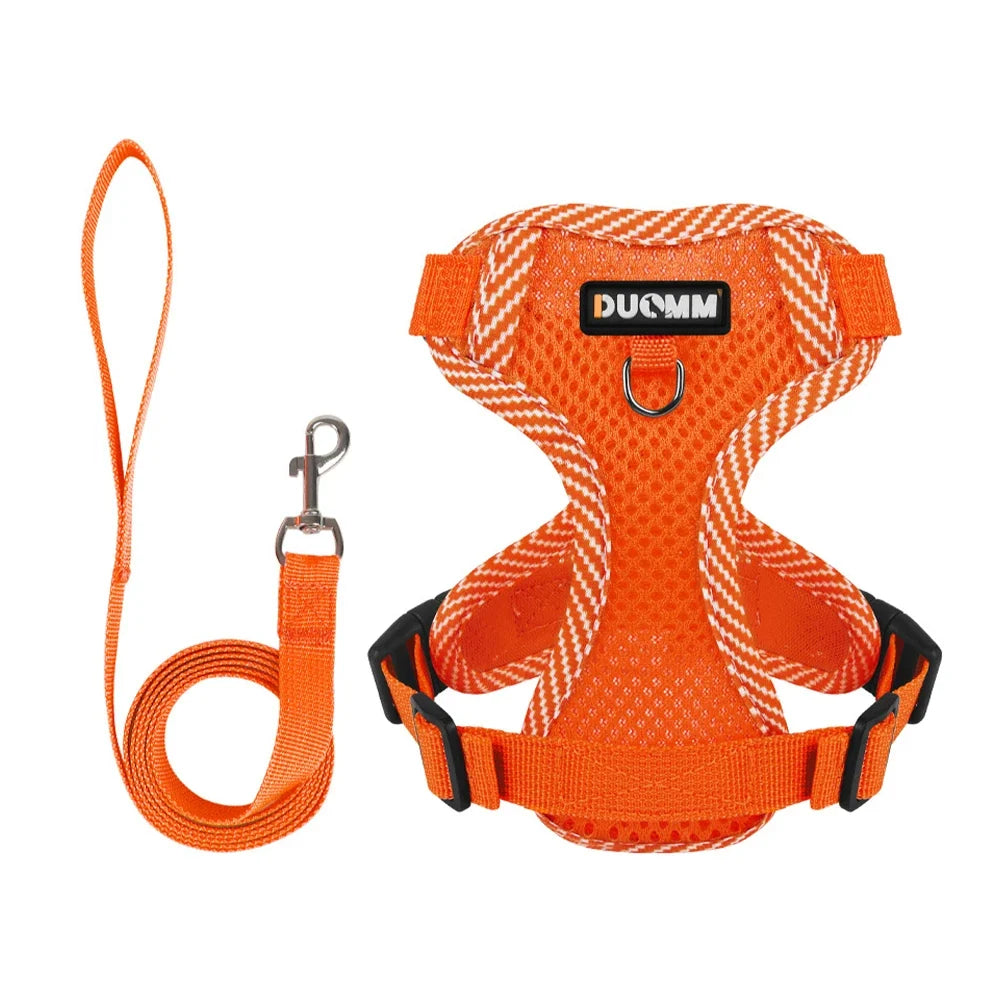 Adjustable Vest Chest Cat Collars Rope Small - ProPawPet.com