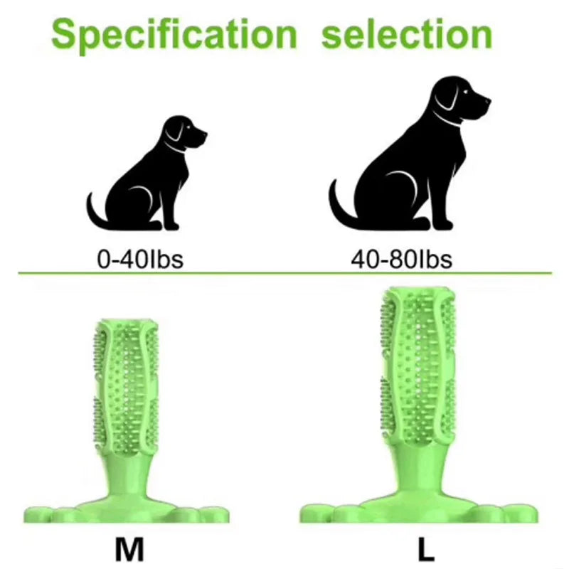 Pet Dog Cactus Interactive Rubber Bite - ProPawPet.com