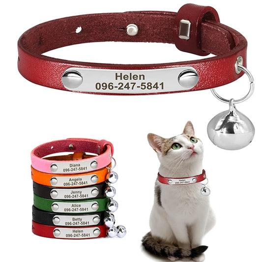 Personalized Cat Collar Adjustable Leather - ProPawPet.com