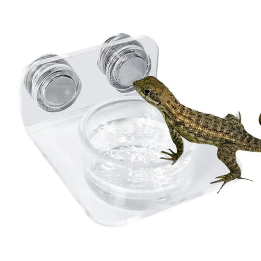 Magnetic Reptile Feeding Ledge Suction Cup - ProPawPet.com