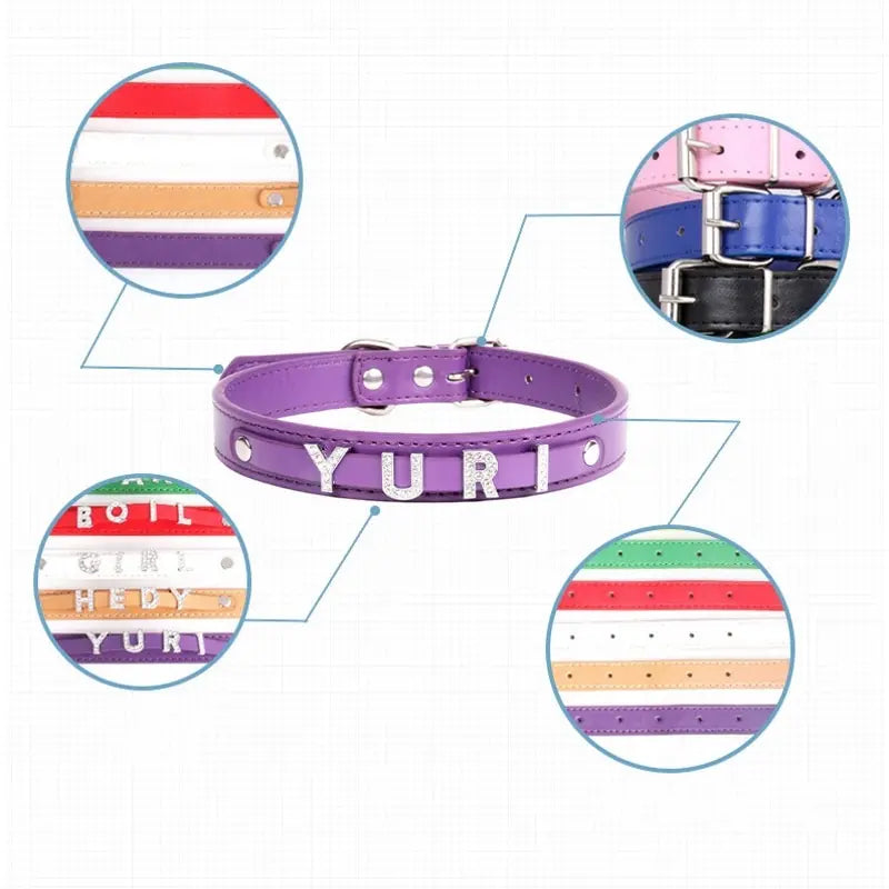 Custom Cat Dog Collar Personalized - ProPawPet.com