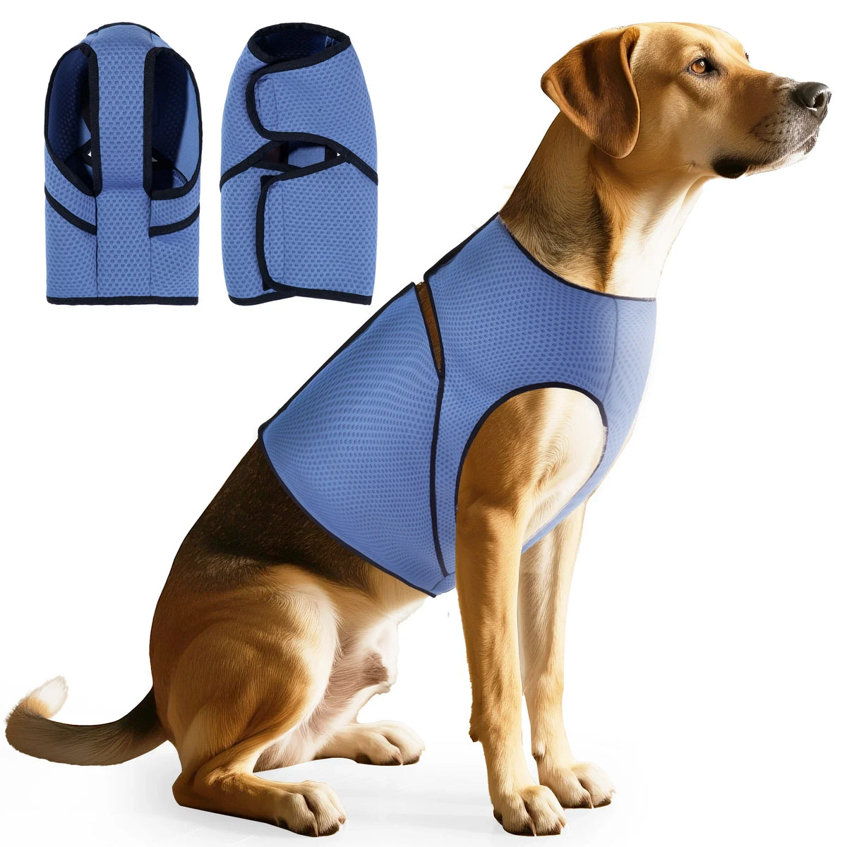 Dog Anxiety Jacket, Dog Coat for Thunder, - ProPawPet.com