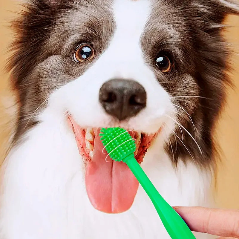 Dog Toothbrush 360 Degree Pet Toothbrush - ProPawPet.com