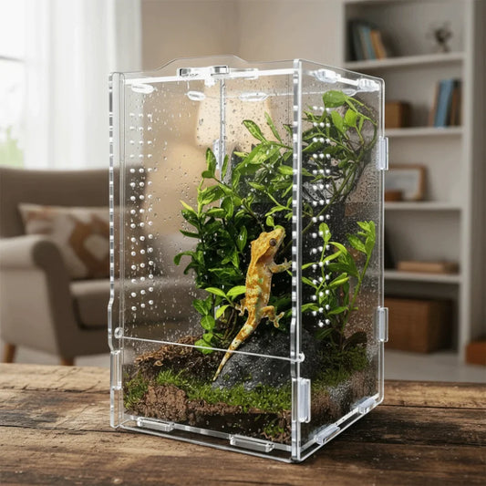 Transparent Reptile Feeding Box Anti-escape - ProPawPet.com