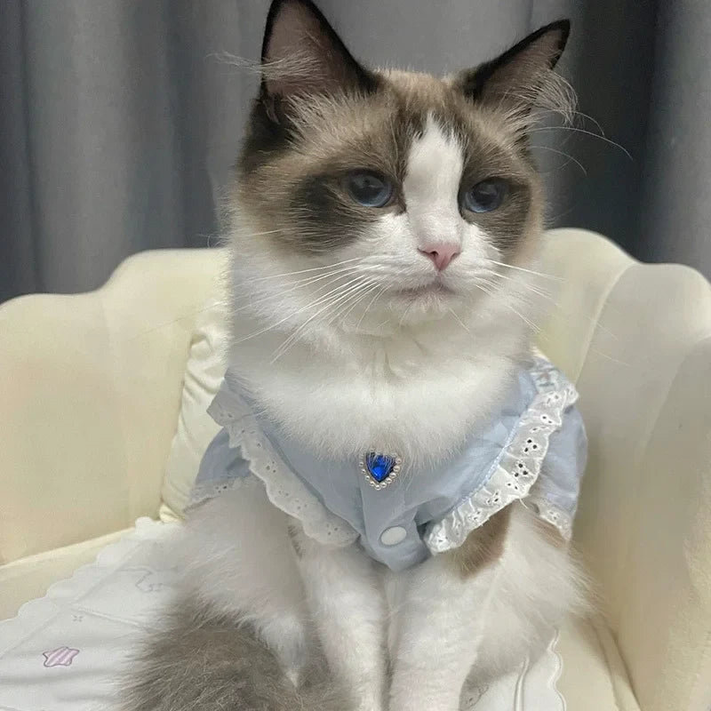 Pet Rhinestone Collar Adjustable Cat - ProPawPet.com