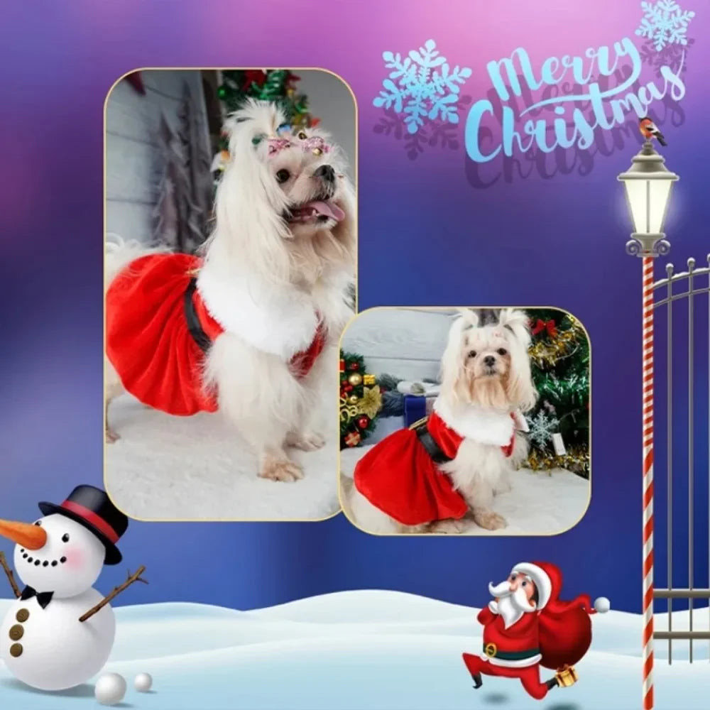 Pet Christmas Clothing Dog Cat Red Dress - ProPawPet.com