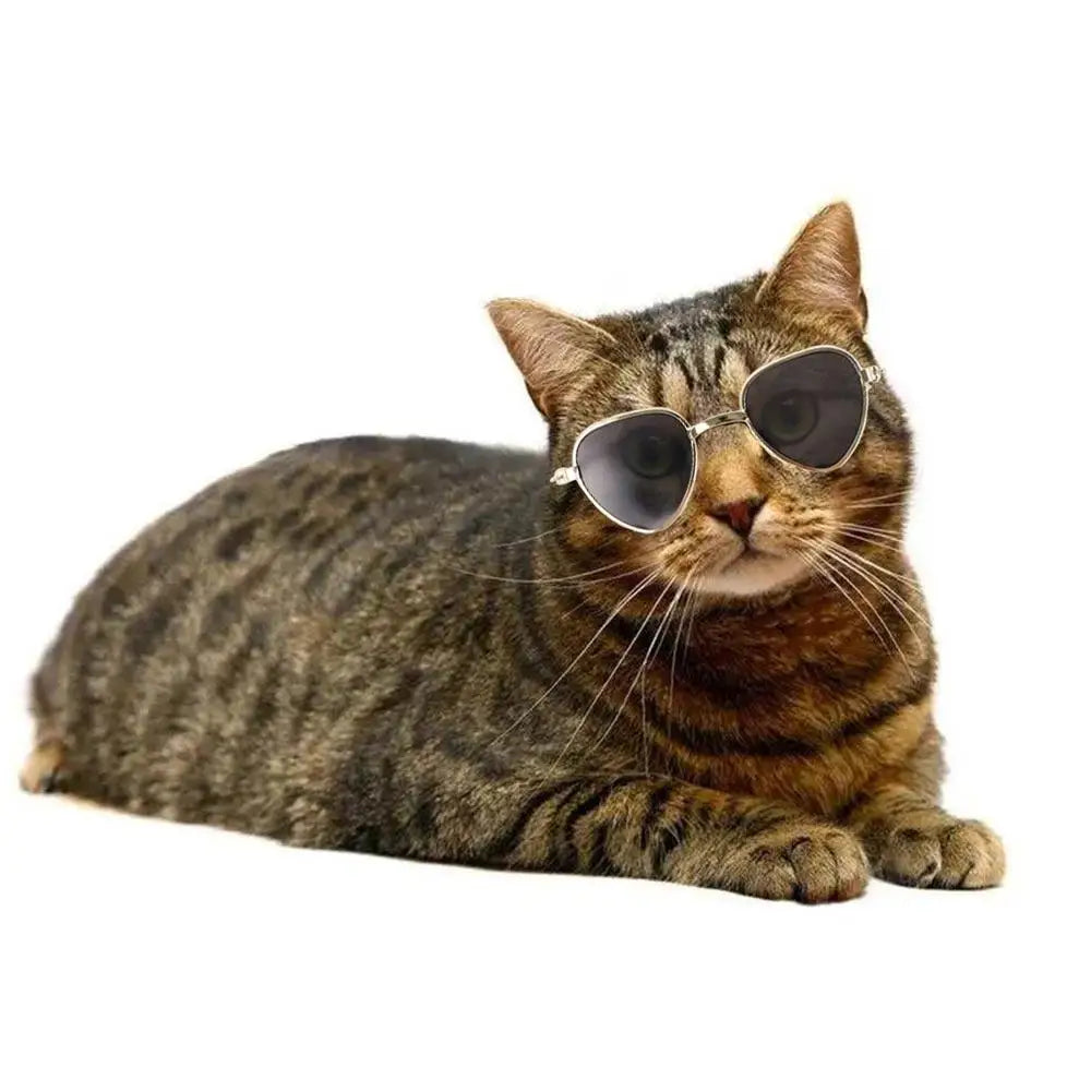 Summer Fashion Dog Sunglasses Reflection Eye - ProPawPet.com