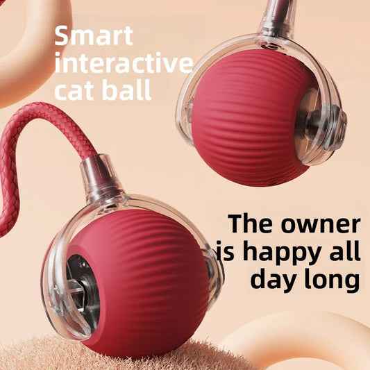 Cat toy for self-entertainment, smart cat - ProPawPet.com