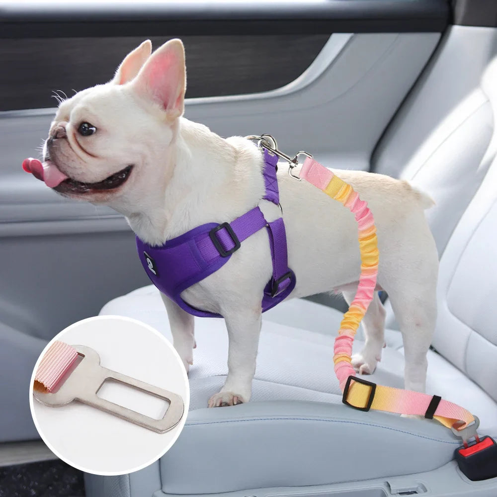 Adjustable Dog Car Seatbelts for Vehicle - ProPawPet.com