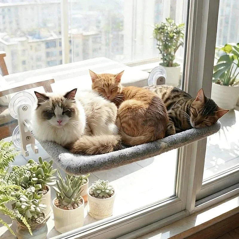 Foldable Cat Window Perch Strong Suction Cup – photo 2