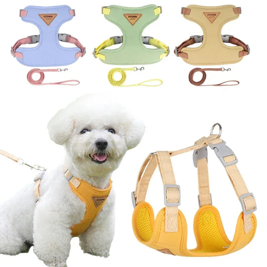 Puppy Harness Leash Set for Small Medium Dog - ProPawPet.com