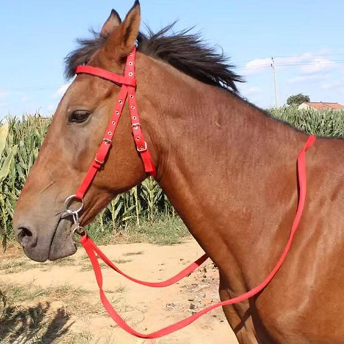 300cm Cotton Weave Equestrian Rein Halters – photo 5
