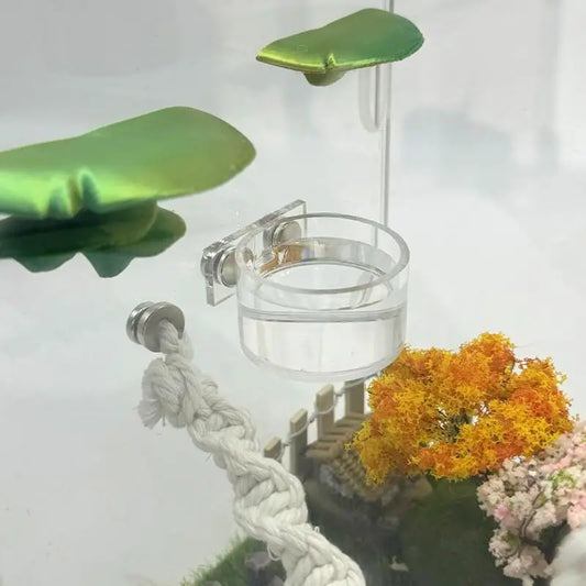 New Reptile Feeding Dish Set Mini Magnetic - ProPawPet.com