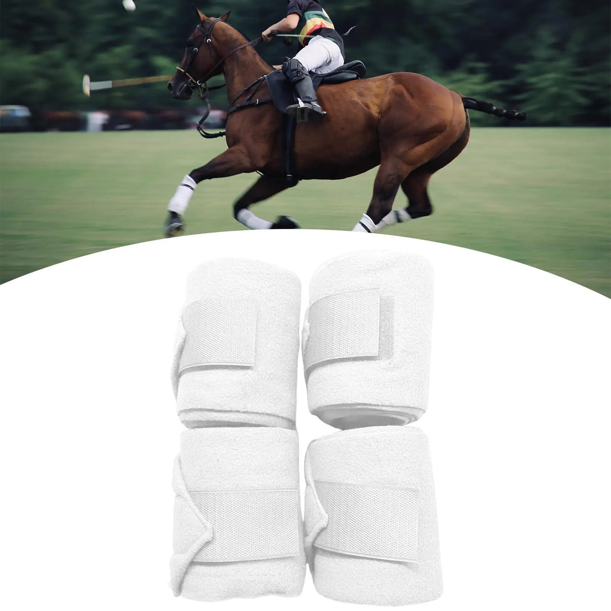Horse Bandages for Legs 4 Pieces Horse Front - ProPawPet.com