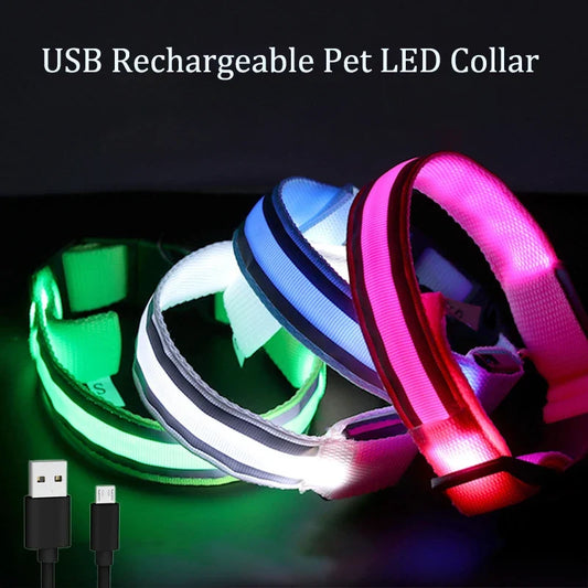 USB Rechargeable/Button Battery Dog Collar - ProPawPet.com