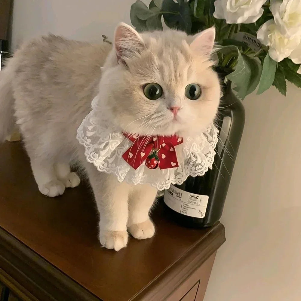 Cute Dog Collar Lace Bowknot Pearl Cat - ProPawPet.com