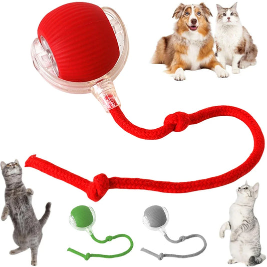 2025New Interactive Cat Toys Ball Automatic - ProPawPet.com