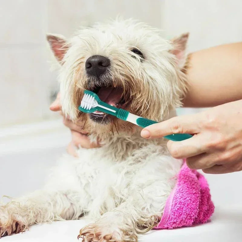 Three Sided Pet Toothbrush Multi Angle - ProPawPet.com