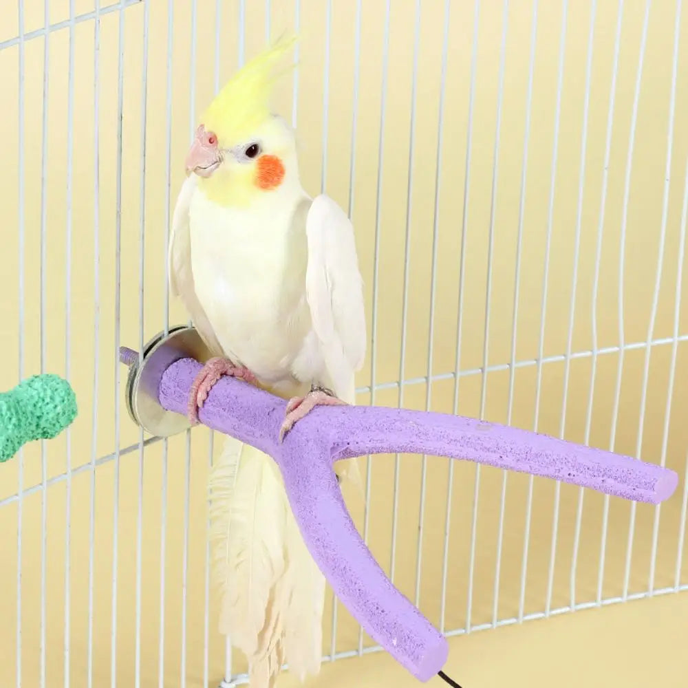 Y/T Shaped Bird Standing Perches Stick Resin - ProPawPet.com