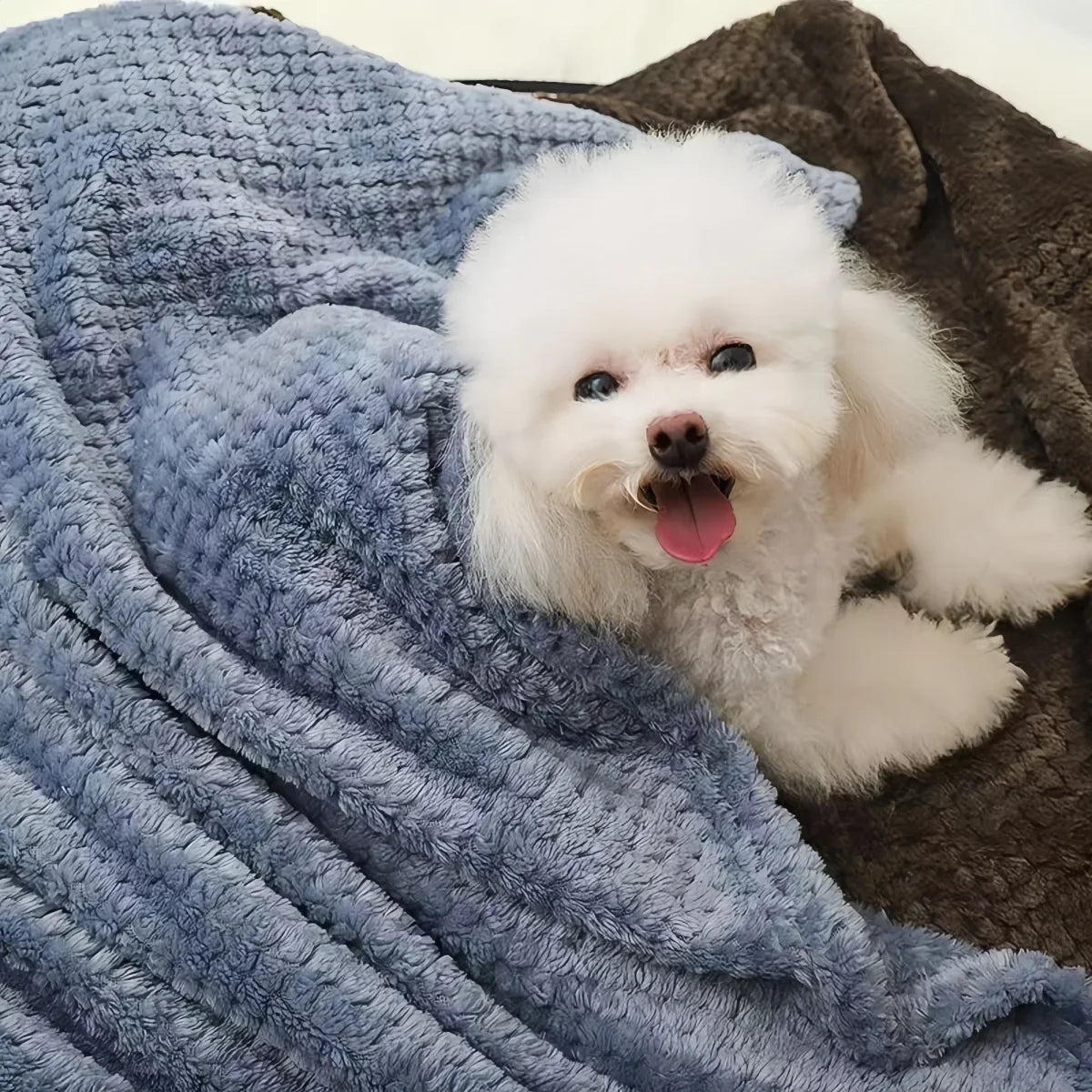70x100CM Ultra-Soft Fluffy Pet Blanket, - ProPawPet.com