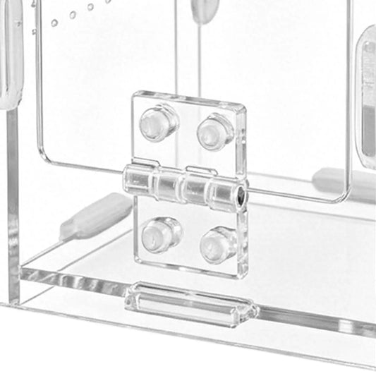 Reptile Breeder Box Transparent Animals - ProPawPet.com