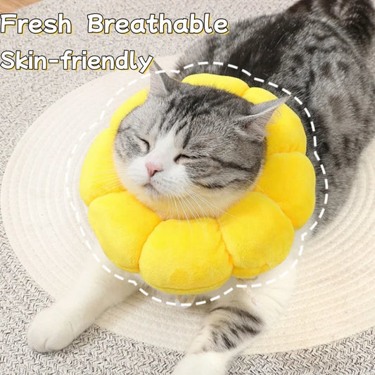 Sunflower Pet Elizabethan Collar Adjustable - ProPawPet.com