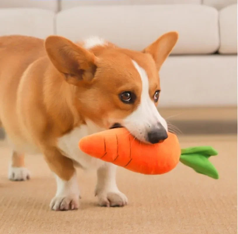 Big Size Sounding Carrot Pet Chew Toy - ProPawPet.com