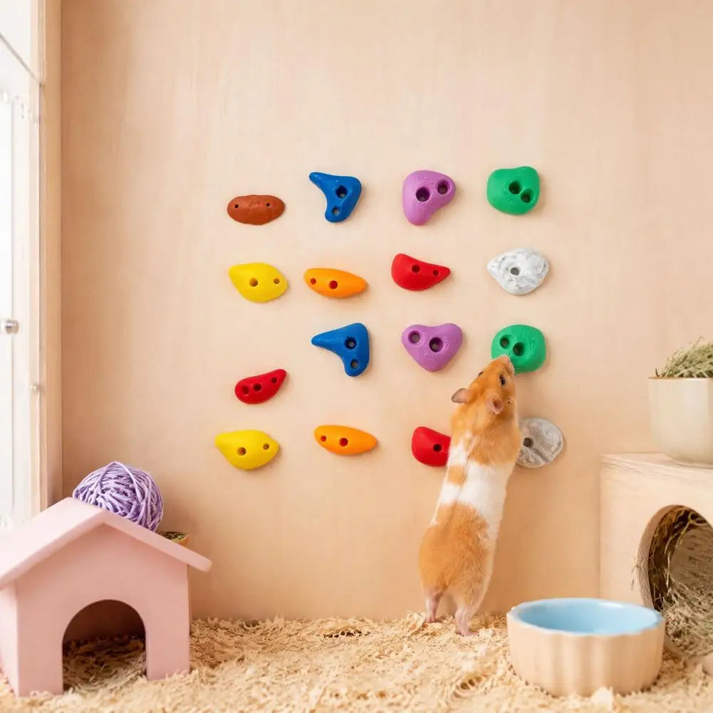 16Pcs Hamster Climbing Wall Toys Colorful - ProPawPet.com